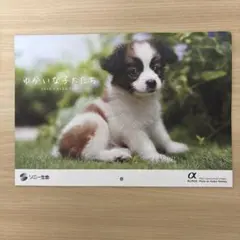 2026年最新】2024ゆかいな子犬たちカレンダーの人気アイテム - メルカリ