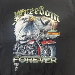 Harley-Davidson ウルフ Tシャツ M 90s シングルステッチ - メルカリ