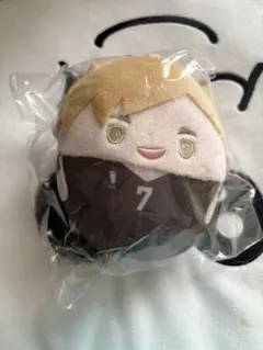 ハイキュー‼︎ くじメイト　ぬいくじ D賞　ふわコロリン　稲荷崎　宮侑