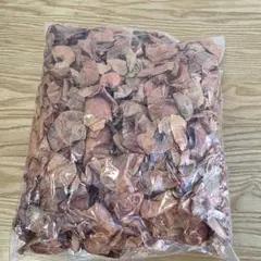 Item thumbnail for item e480e316-a4e6-4787-835b-5f20e716c0a9