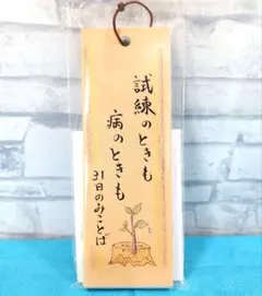 Item thumbnail for item 7fcb501d-4bcb-4070-b445-108759b83013