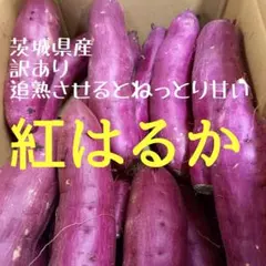 箱別で5㌔以上入りR7年訳ありB級品 茨城県産紅はるか2S3Sメイン　さつまいも