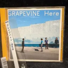 2026年最新】grapevine hereの人気アイテム - メルカリ