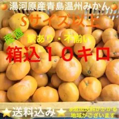 ★訳あり★産直不揃い10kg⑫神奈川県湯河原産晩生ミカン青島温州みかん
