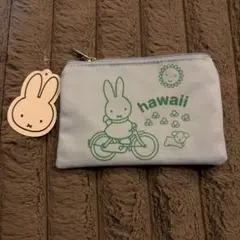 Item thumbnail for item 622ae711-13b7-4999-8b4f-fa6492f96852