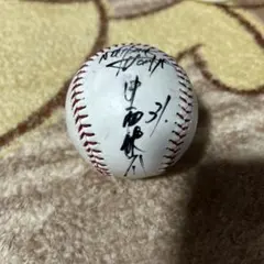 西武ライオンズ デストラーデ 直筆サインボール - メルカリ