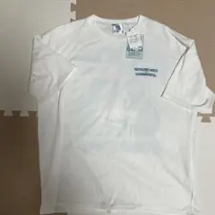 Item thumbnail for item 5e00adf3-3aa9-479d-8b03-d3cc4bbeb46d