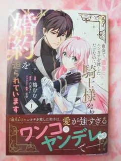 メルン様 リクエスト 2点 まとめ商品