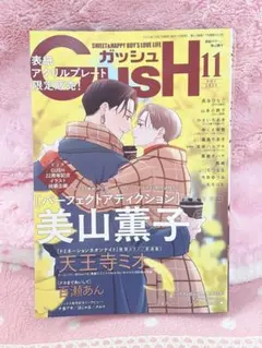 2026年最新】パーフェクトアディクション」の人気アイテム - メルカリ