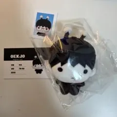 ジャニ ぬいぐるみ 10cm NCT nct127 マスター 人形 ジャコミ - メルカリ