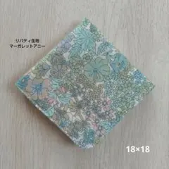 Item thumbnail for item 892b4ea7-9425-4d80-8eae-365b9f3d616a