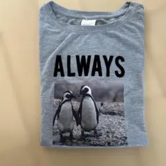 再お値下げ！ZARA KIDS 長袖カットソー ペンギンプリント グレー