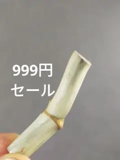 【M7】斑入りモンステラ ホワイトタイガー カット茎 成長点1つのサムネイル