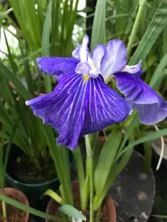 スマート8様 リクエスト 2点 まとめ商品