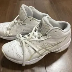 アシックス GELHOOP ゲルフープ V16 バスケットボールシューズ
