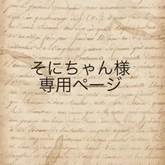 そにちゃん様　専用ページ