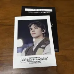 SEVENTEEN WORLD TOUR 入場特典1弾　ポストカード　バーノン
