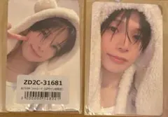 &TEAM andteam ふわふわアニマルトレカ 動物　K ケイ セット