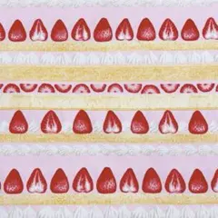 しゃんしゃん様 リクエスト 2点 まとめ商品