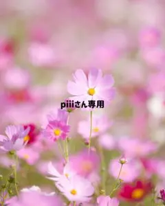 piiiさん専用