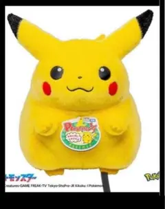 ポケットモンスター ポケモン30周年