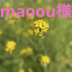 maoou様専用ページです