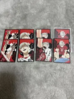 灰羽リエーフ 8枚セット