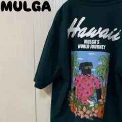 MOLGA Tシャツ グリーン