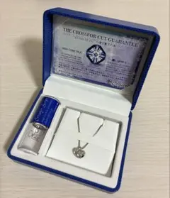 Crossfor NewYork シルバーチェーンネックレス