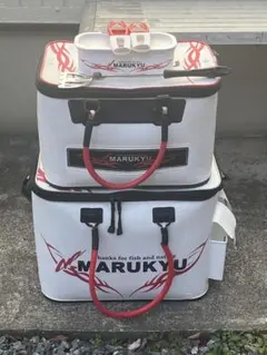 Item thumbnail for item bf70dd59-b2e9-4edd-8560-06b7d13b4574