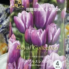 mmh様 リクエスト 3点 まとめ商品