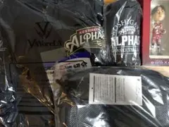 越谷アルファーズ ファンクラブ特典 バーガンディー 松山駿ボブルヘッド