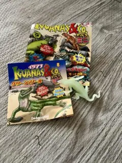 【レア】IGUANAS & Co. グリーンアノール No.8