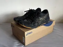 asics ROTE JAPAN LYTE FF 3 バレーボールシューズ 26 - メルカリ