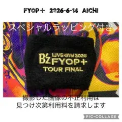 2026年最新】稲葉浩志 tシャツ ファイナルの人気アイテム - メルカリ