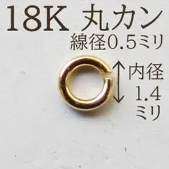 Item thumbnail for item 5e18afb2-fa3d-45a6-8360-c94e2b8de427