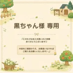 黒ちゃん様 リクエスト 25点 まとめ商品