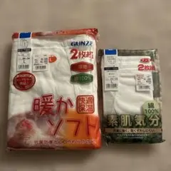 GUNZE 長ズボン下 暖かソフト L 2枚　素肌気分　ブリーフ　１枚