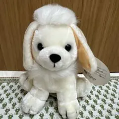 2025年最新】マルチーズぬいぐるみの人気アイテム - メルカリ