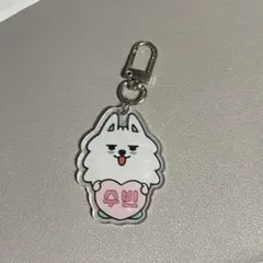 TXT　トゥバ　プルバトゥ　ヨンモン　スビン　アクキー　新品