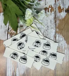 Item thumbnail for item 5b667d1b-cbc4-4fde-aecf-ae00491d5bbd