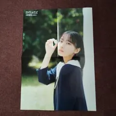 日向坂 大野愛実 直筆サインチェキ プレゼント応募券 週刊少年マガジン