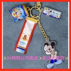 【5周年】 東京ディズニーシー 25周年 カプセルトイ キーチェーン 新品未使用