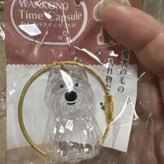 わんこのタイムカプセル
