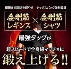 金剛筋シャツ 半袖 ブラックM＆レギンス2点セット