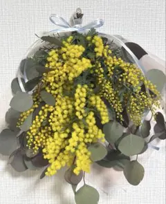 Item thumbnail for item 9da1d8e7-ecfd-4ee9-b74d-2476102ac7ed