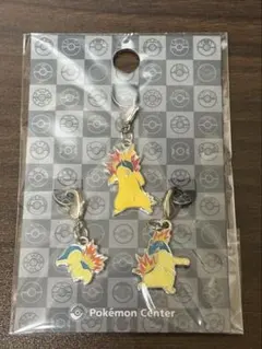 ポケモン メタルチャーム ヒノアラシ マグマラシ バクフーン