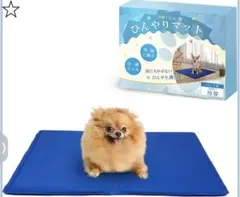 Item thumbnail for item 928d059c-ef27-4c1f-ab71-bf628d02bbb5