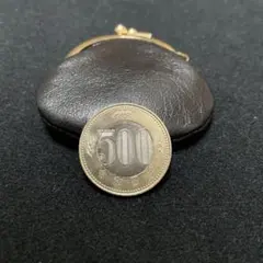 エキスパンデットシェル 新500 【マジック 手品】