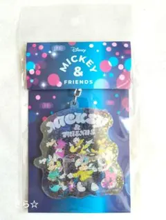 ディズニーザマーケット限定 アクリルキーホルダー